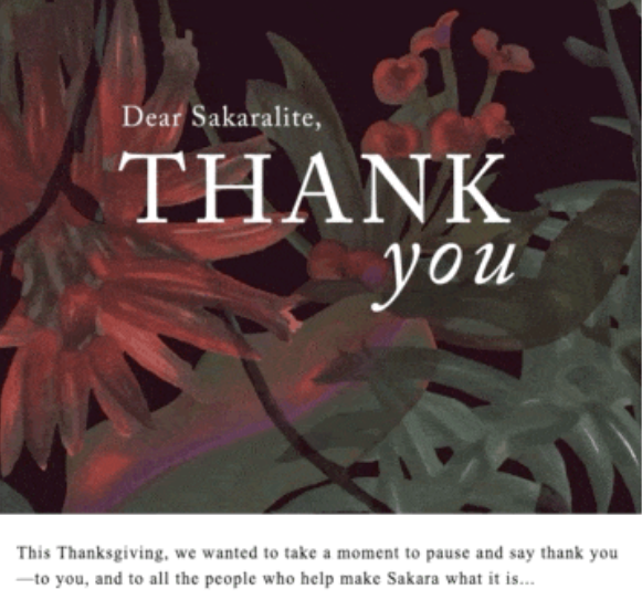 Thanksgiving email sample from sakara