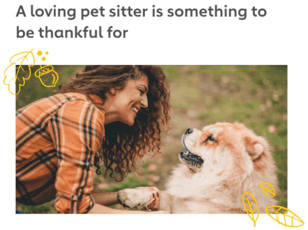 thanksgiving campaign for pets